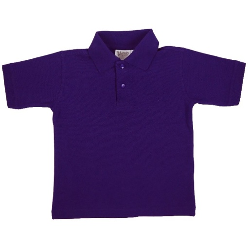 Childrens Purple Polo Shirt, Polo Shirts