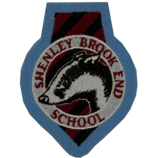 Shenley Brook End Year Badge Blue, Shenley Brook End School