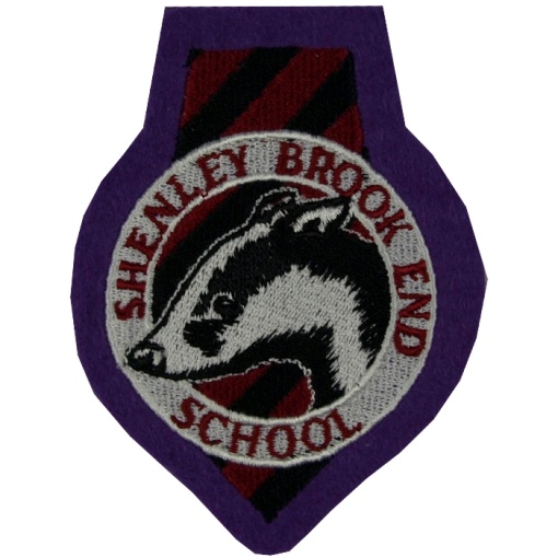 Shenley Brook End Year Badge Purple, Shenley Brook End School