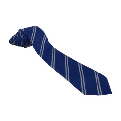 Stantonbury School Tie, Stantonbury School