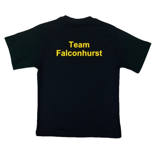 Falconhurst School P.E T-shirt, Falconhurst