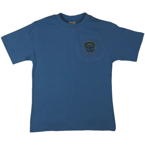 Jubilee Wood Primary P.E T-shirt Blue (Sycamore), Jubilee Wood Primary