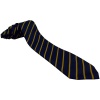 Radcliffe School Tie Yellow Stripe, The Radcliffe School