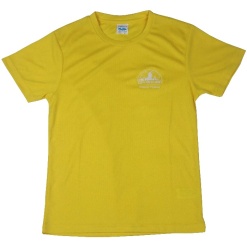 Two Mile House Colour Tee Black, Two Mile Ash School