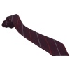 Kents Hill Park Year Tie Red, Kents Hill Park Secondary