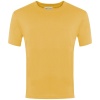 Plain Cotton T-shirt Yellow, Priory Common First School, T-Shirts