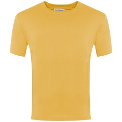 Plain Cotton T-shirt Yellow, Priory Common First School, T-Shirts
