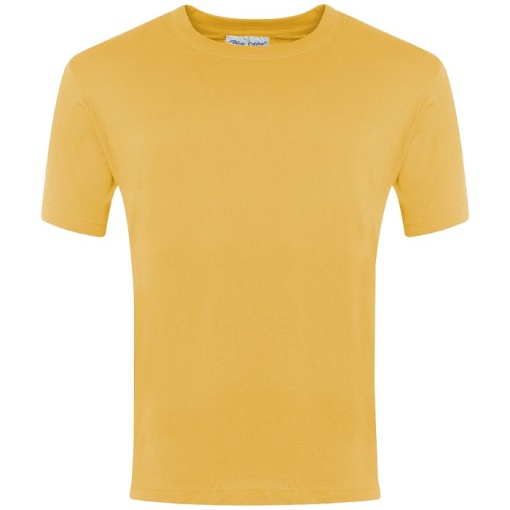 Plain Cotton T-shirt Yellow, Priory Common First School, T-Shirts