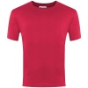 Plain Cotton T-Shirt Red, Priory Common First School, T-Shirts