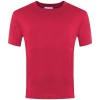 Plain Cotton T-Shirt Red, Priory Common First School, T-Shirts