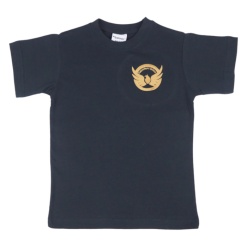 Falconhurst School P.E T-shirt, Falconhurst