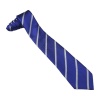 Leon Sapphire Tie, Sir Herbert Leon Academy