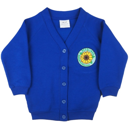 Seedlings Nursery Cardigan, Seedlings Nursery and Pre School