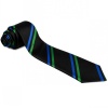 Ousedale School Tie