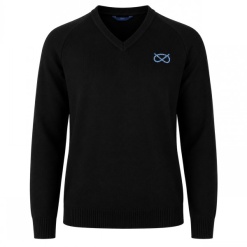 Denbigh School V Neck Jumper