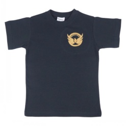 Falconhurst School P.E T-shirt