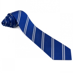 Stantonbury School Tie