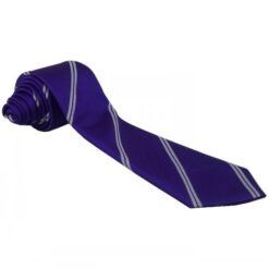 Fairfields Primary Year 6 Tie